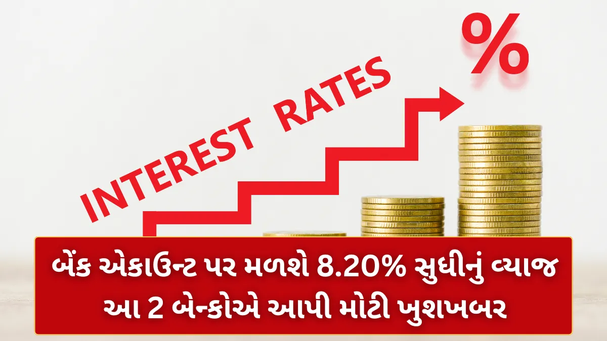 બેંક એકાઉન્ટ પર મળશે 8.20% સુધીનું વ્યાજ, આ 2 બેન્કોએ આપી મોટી ખુશખબર - Bank Interest Rates